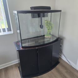 Aquarium With Stand