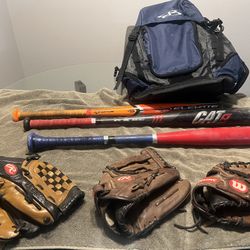 Baseball Gloves And Bats 