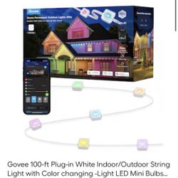 200 ft $300.00 Govee Permanent lights- 100- 2 Boxes price of 1