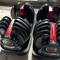 BowFlex Adjustable Dumbbells 552