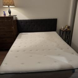 Queen Size Bed- Free