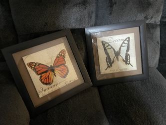 Decorative Items