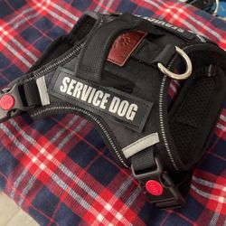 Service Dog Collar 