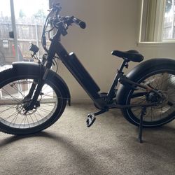 Rad Rover 6 Plus Electric 