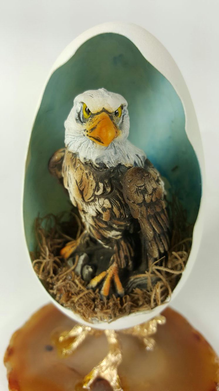 Eagle in Shell