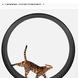 Cat Exercise Wheel