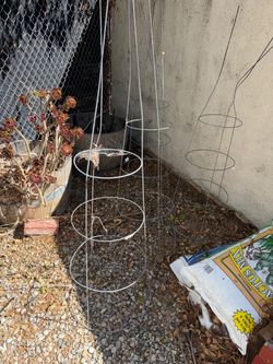 Metal Tomato Cages Garden Plant Support