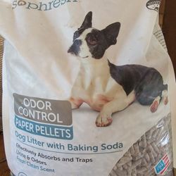 Dog Litter