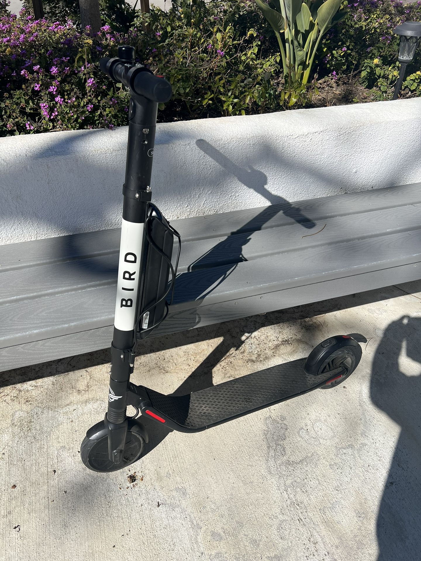 Bird ES4-800 Electric Scooter for Adults -Dual Battery- 800 Watt Motor