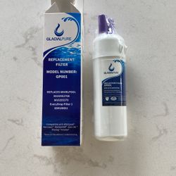 GlacialPure Replacement Water Filter, Model Number GP001 (Qty2)