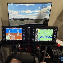 Flight simulator 