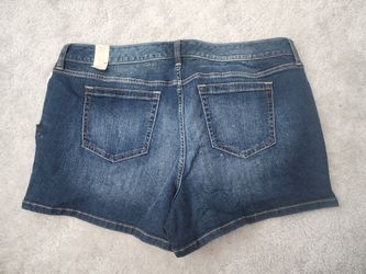 Torrid Shorts