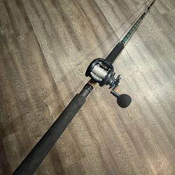 Custom Seeker 270 H 8’ Daiwa Lexa 500. Ready to fish. !!! Salt Water Fishing  Combo 