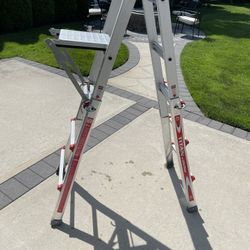 Little Giant Ladder 