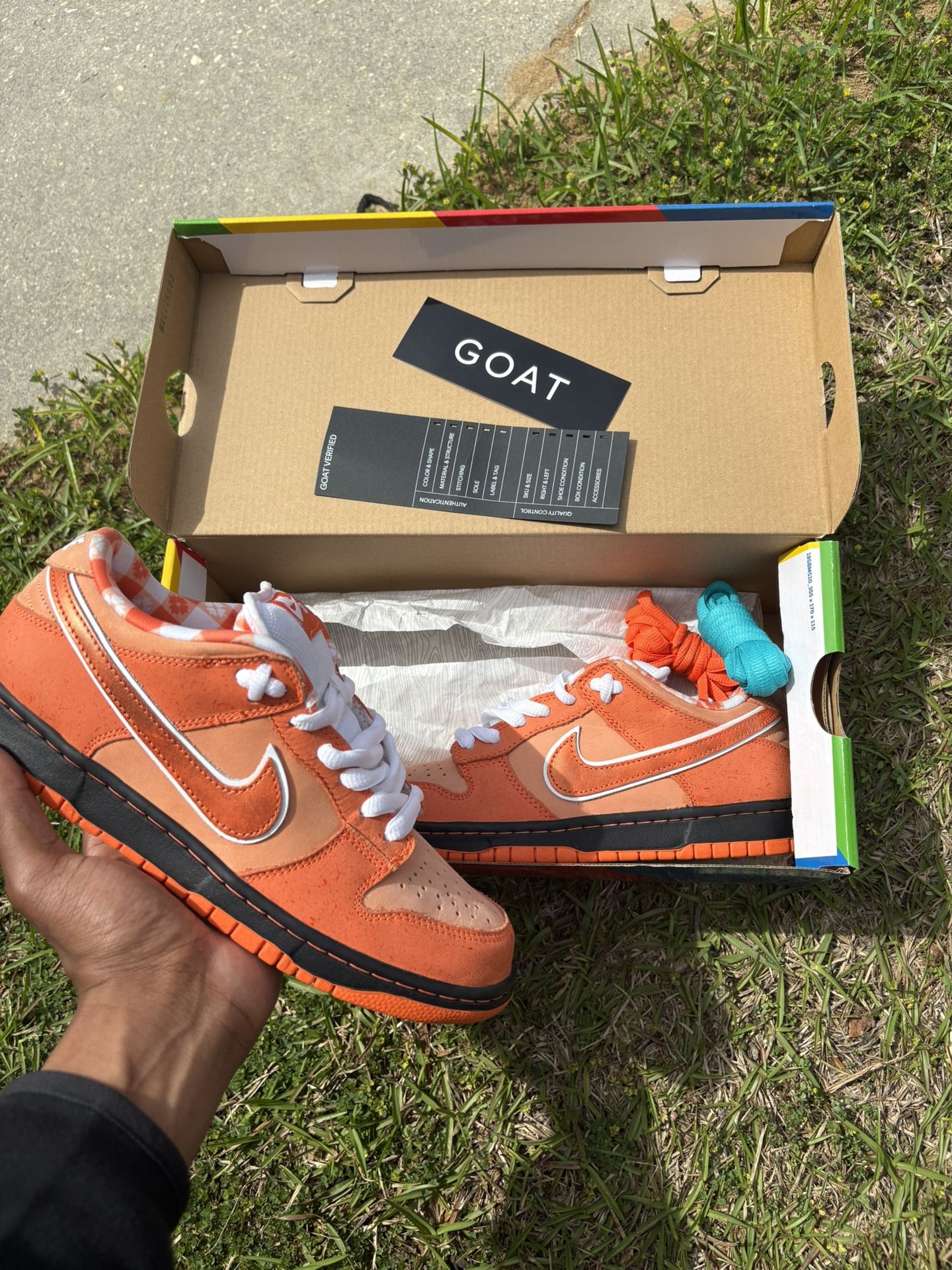 Orange Lobster SB Nike Dunks