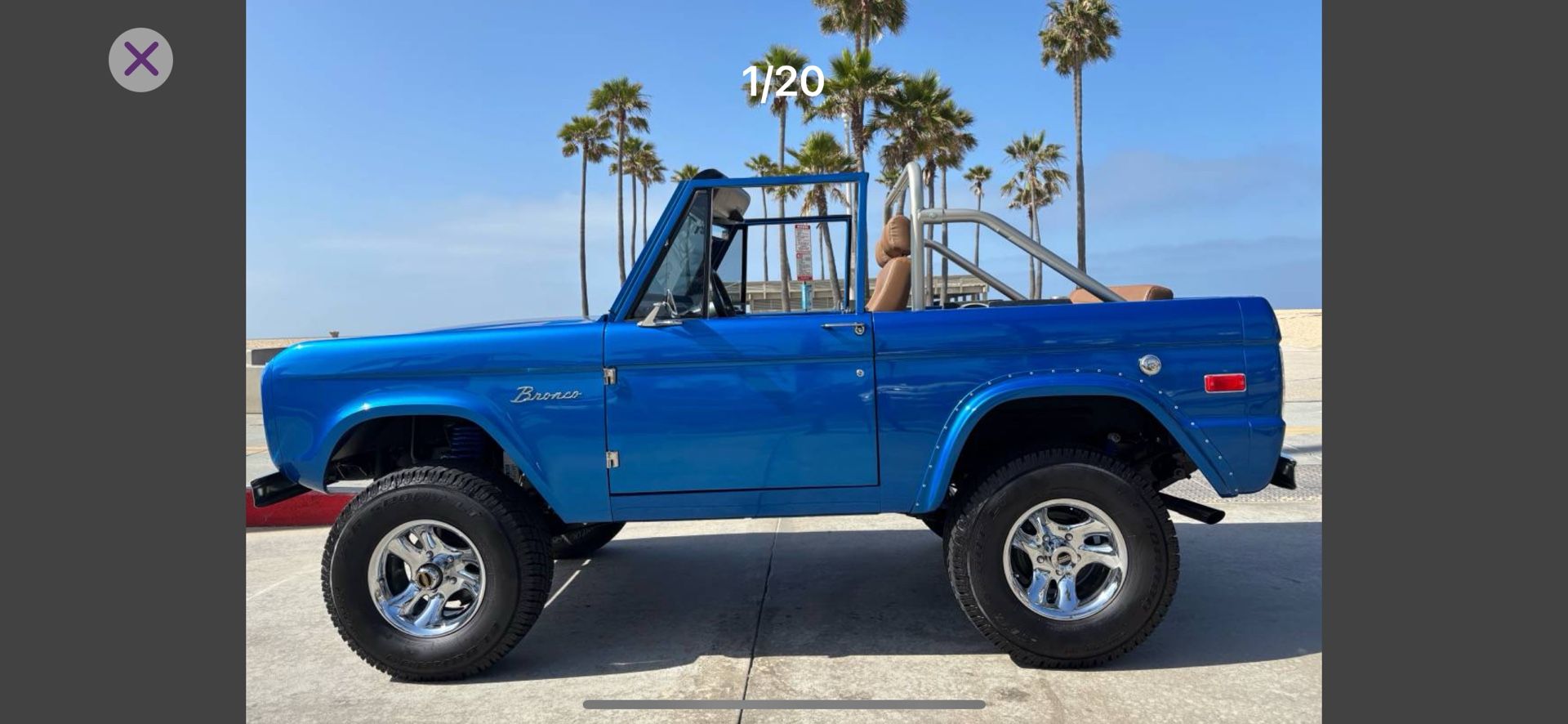 Dodger Blue
