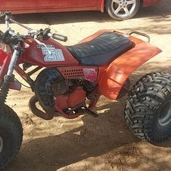 1981 honda 250r 