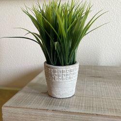 Fake Plant