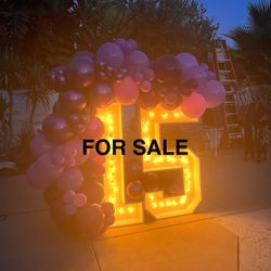 15 Marquee Numbers