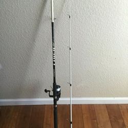 Shakespeare Tiger Fishing Pole for Sale in Bakersfield, CA - OfferUp