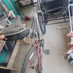 Mangoose Bike