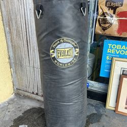 Everlast Punching Bag