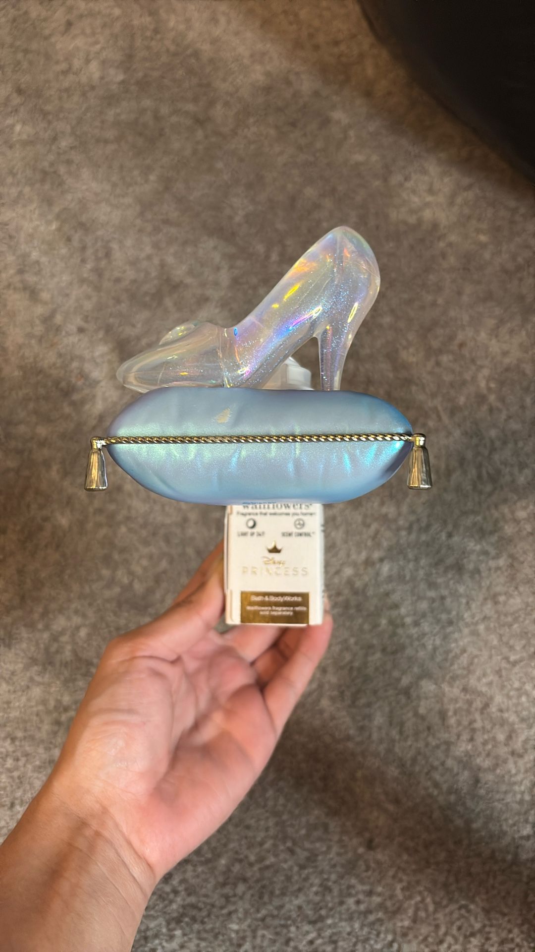 Cinderella Wallflower Plug In