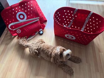 Target Halloween Costume — 2 Adult + 1 Dog Carts