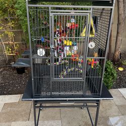 Bird Cage