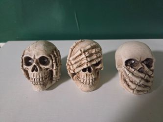 3 decor skulls
