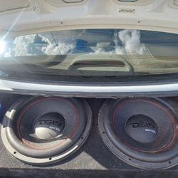 DS18 GEN-X Dual Subwoofers in Box