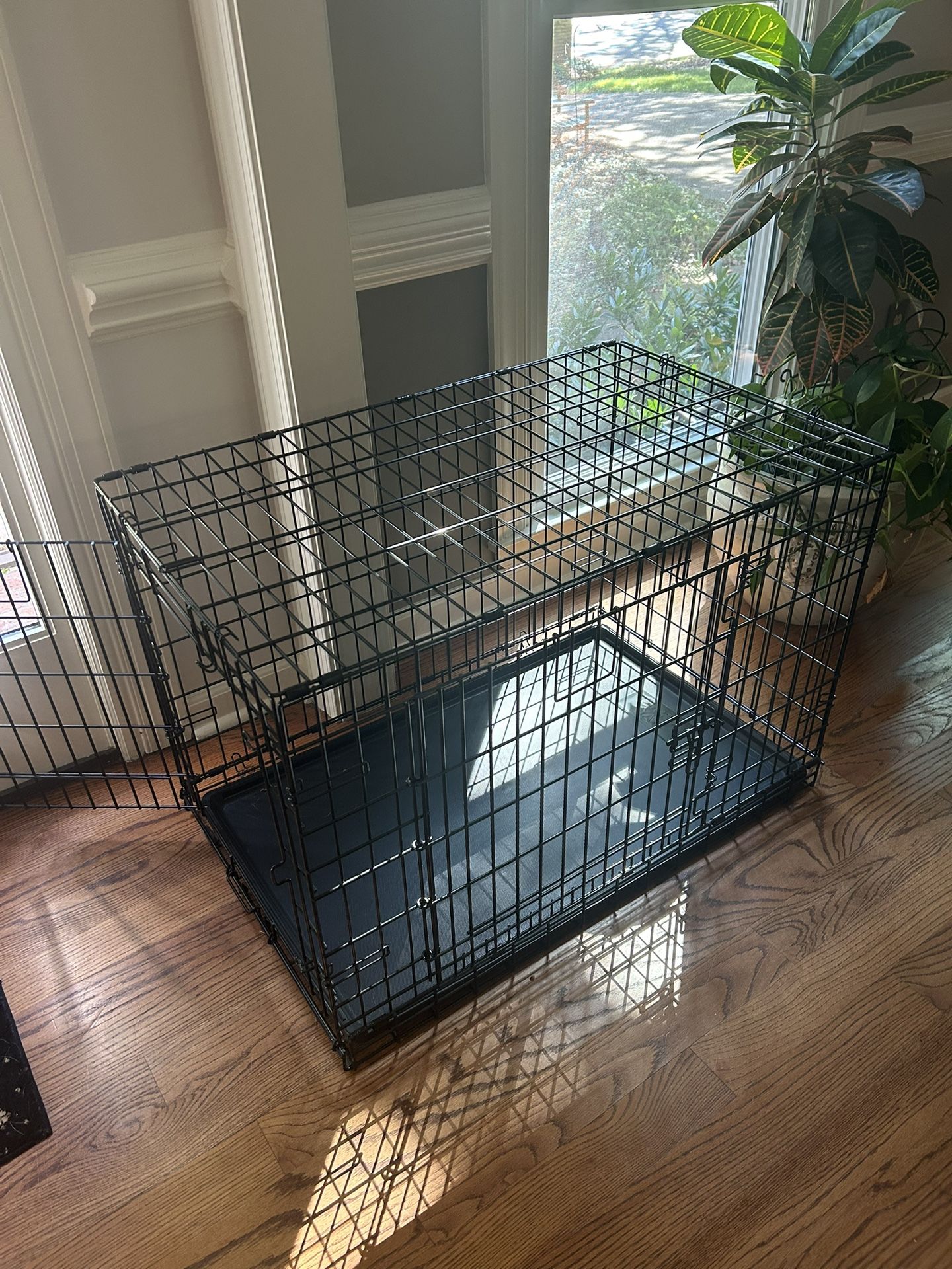 Large Dig Crate