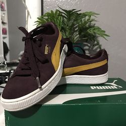 Pumas
