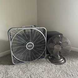 Fans Small And Big