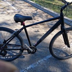 Boss Two Infinity Bicycle