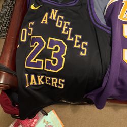 Los Angeles Lakers 2025 City Edition Jersey Lebron James 