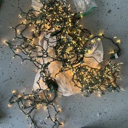 Christmas Lights Over 100 Ft Long