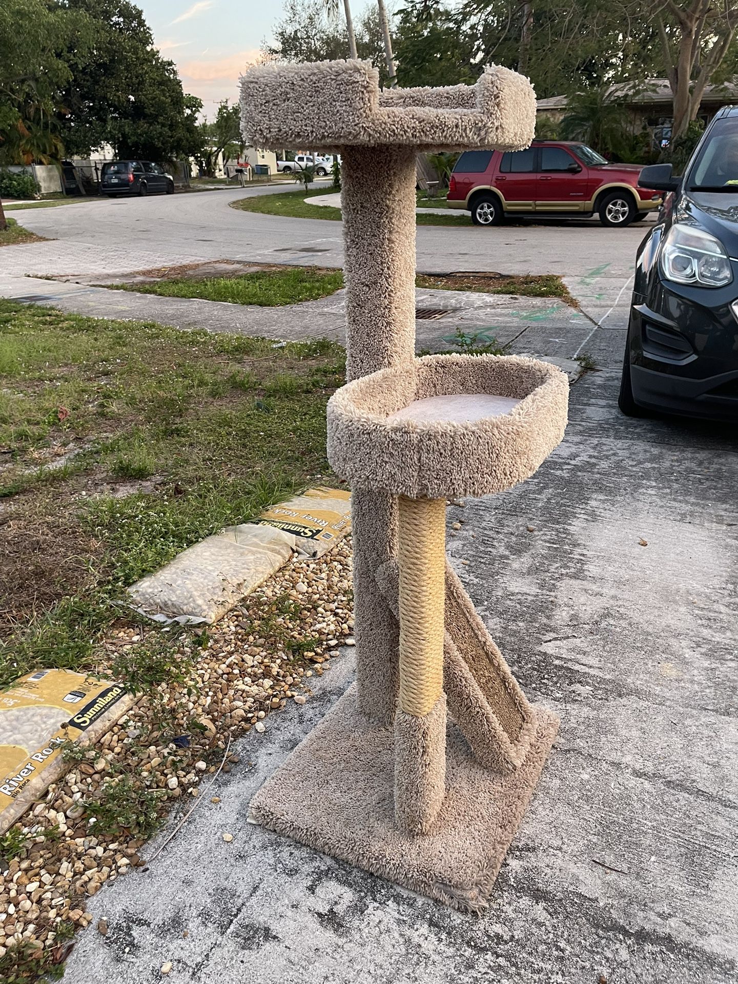 Cat Tree