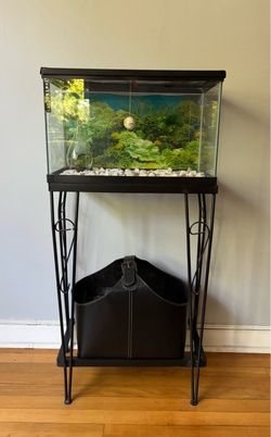 Small Fish Tank