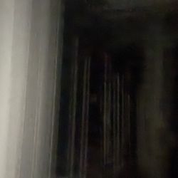 506 Quest Dehumidifiers 