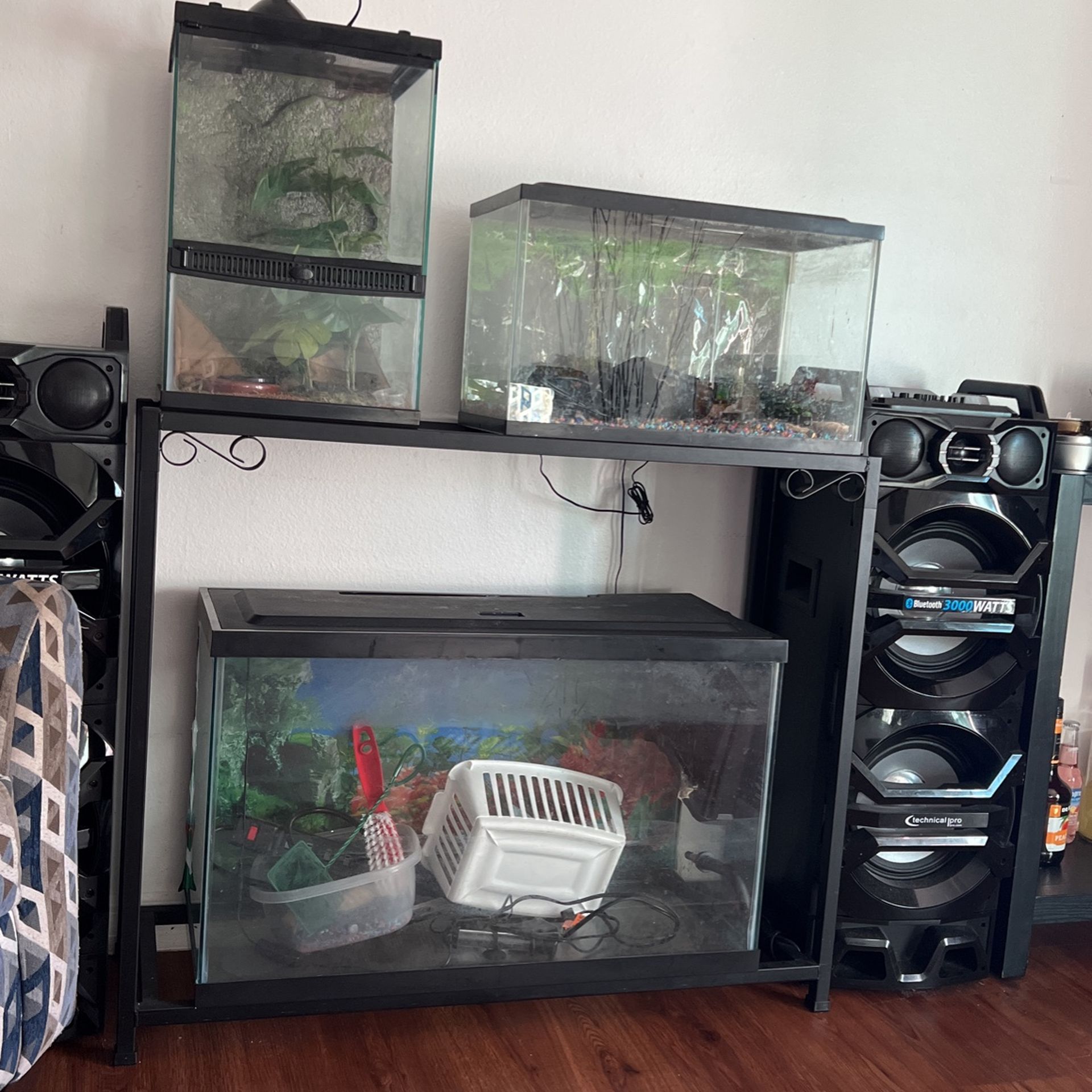 Three Tanks