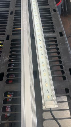 Supreme Arowana LED Lights Fish Tank 