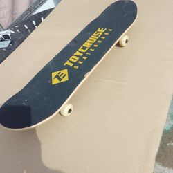 Joy Cruise Skateboard 