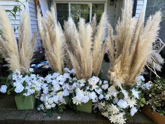 Pampas Grass & White Flower Sets