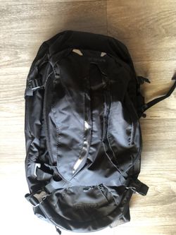 Camelback Mule