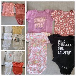 Baby Girl Size 6 Months One Piece Cotton Bodysuits, Short Sleeve lot of 14