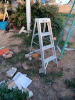 4'Gorilla Ladder
