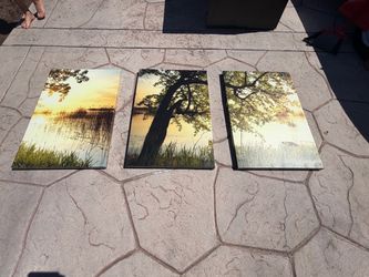 Lake/tree Canvas picture