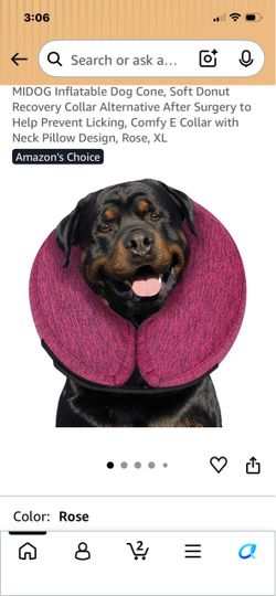 New inflatable for dogs 🐶