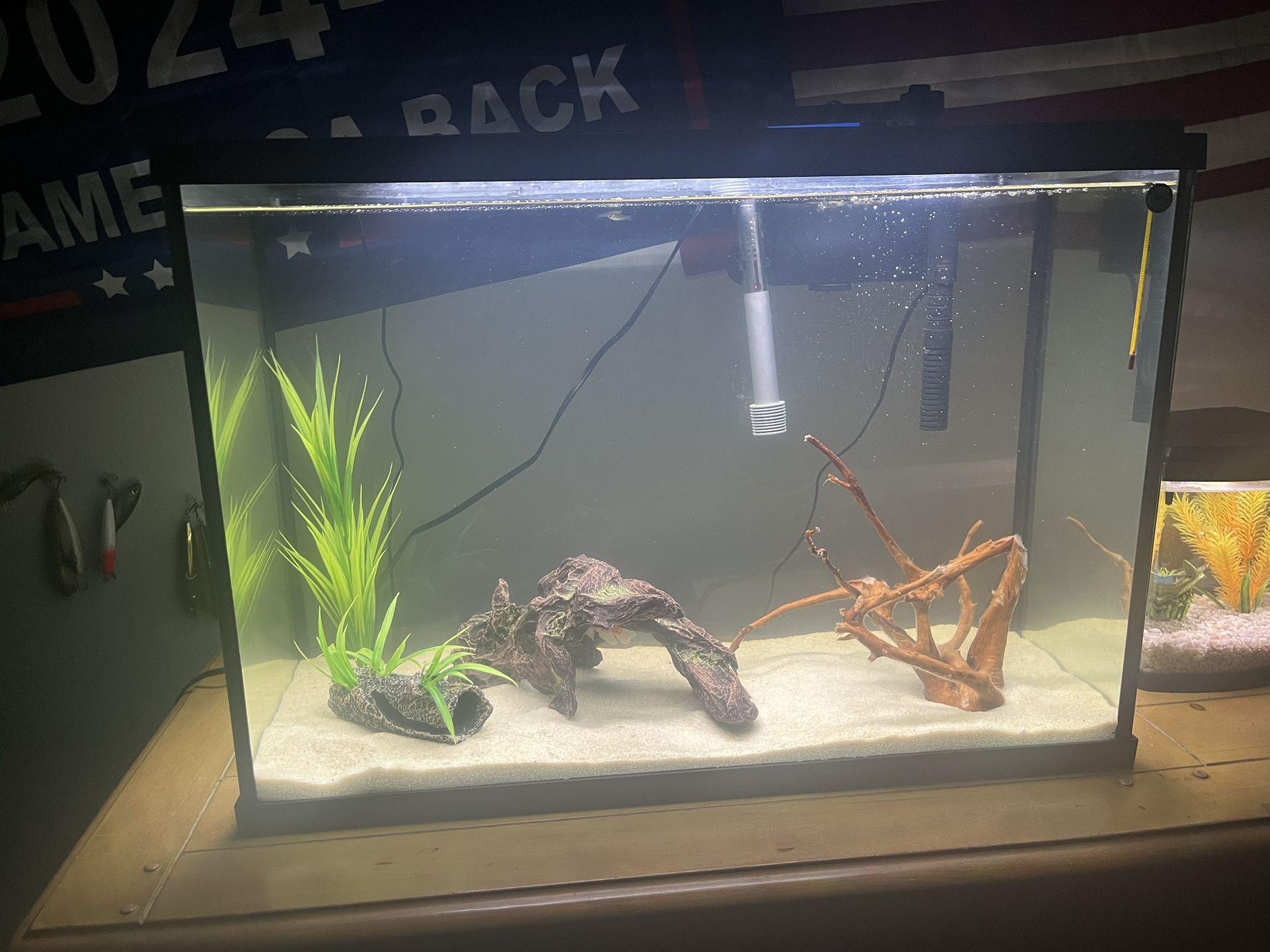 30 Gallon Fish Tank 